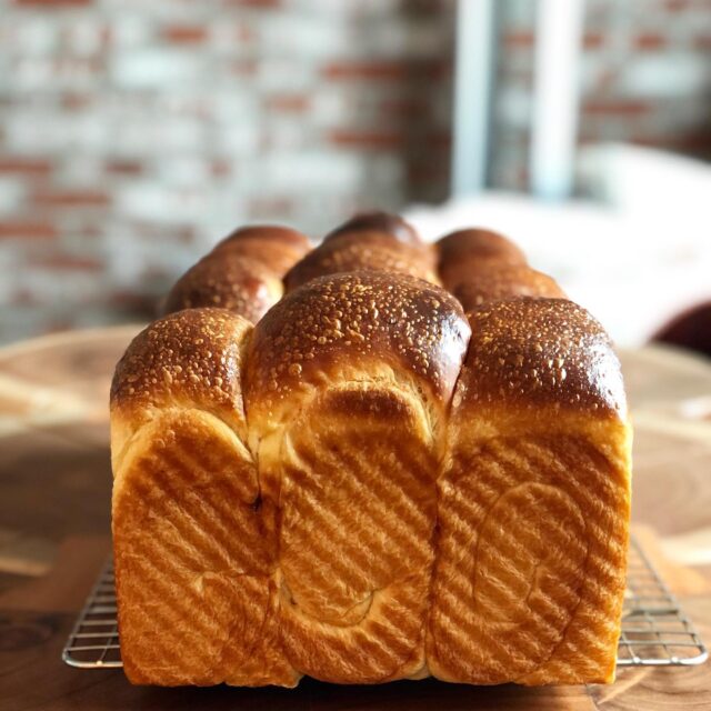 rise & shine 🍞🍞🍞 #sdsourdough #hokkaidomilkbread