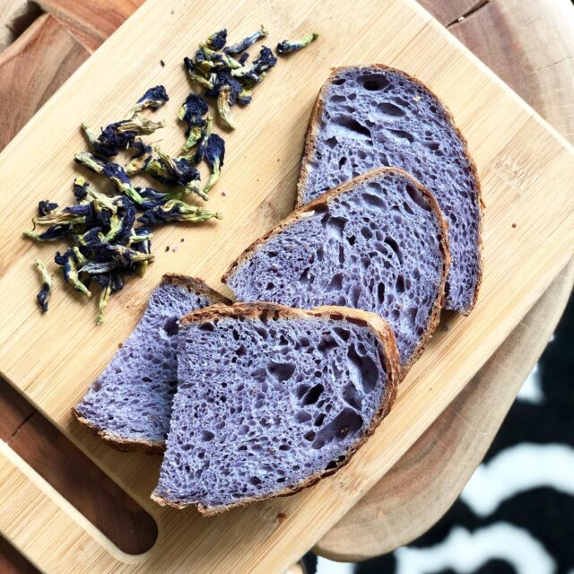 So fun playing with these butterfly pea flowers! 🦋💜🦋 #sdsourdough