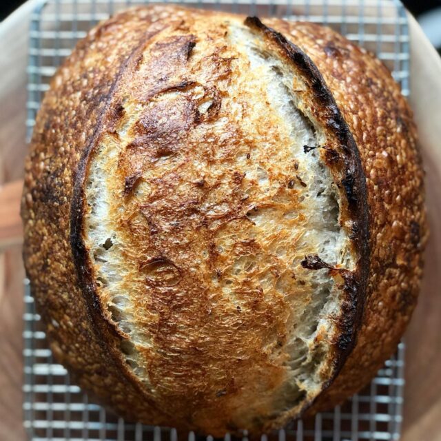 PLEASE READ: Friends! Thank you so much for keeping me busy with orders! Work is about to get a bit hectic so I’m pausing my baking for a couple of weeks. I’ll update my website as soon as I’m ready to start taking orders again! Leaving you with a lovely little rye loaf from today’s bake 🌾🌾🌾 #sdsourdough